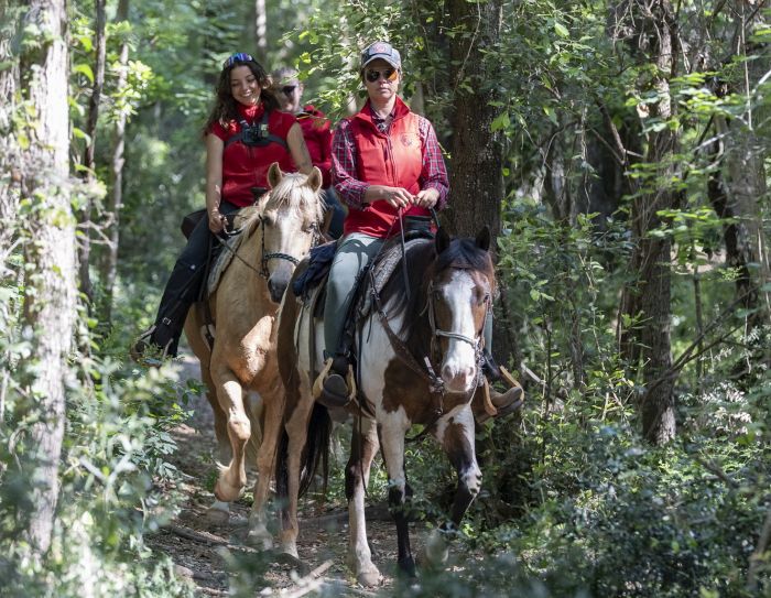 Zwischen Meer und Maremma&nbsp;