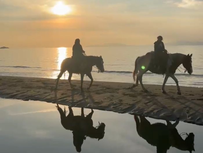 Zwischen Meer und Maremma&nbsp;