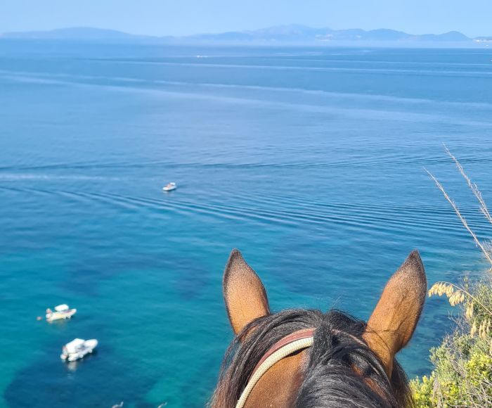 Zwischen Meer und Maremma&nbsp;