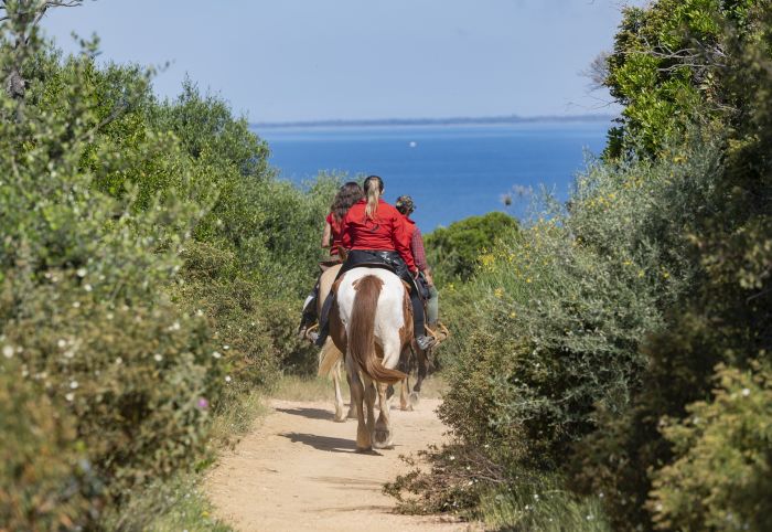 Zwischen Meer und Maremma&nbsp;