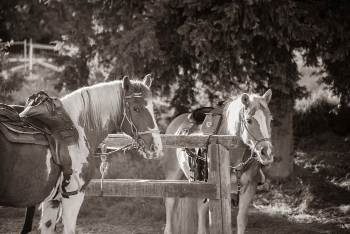 Zwischen Meer und Maremma&nbsp;