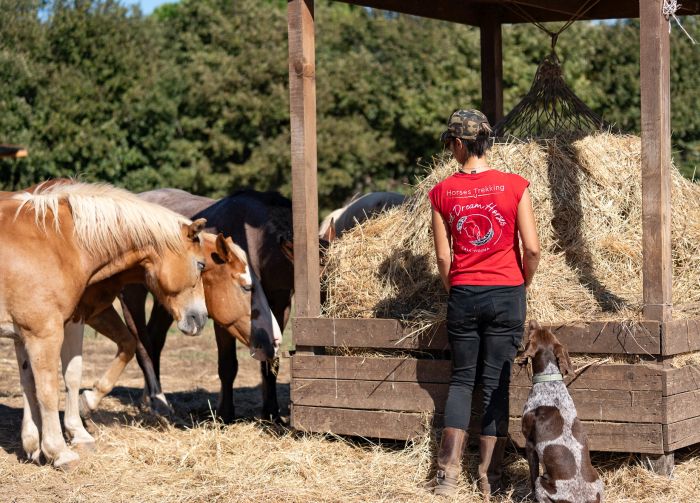 Zwischen Meer und Maremma&nbsp;