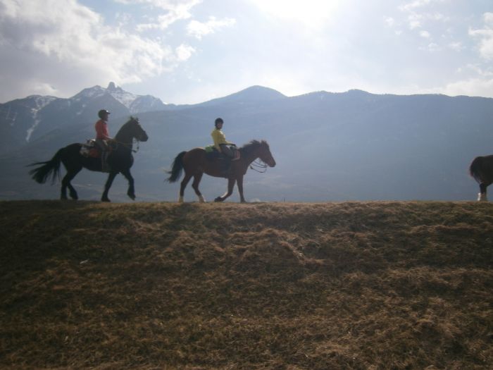 Reittouren in den Walliser Alpen