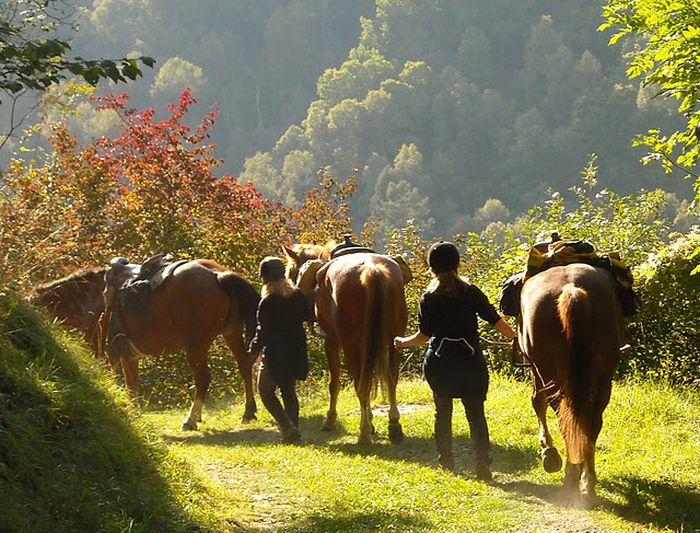 Reittouren in den Walliser Alpen