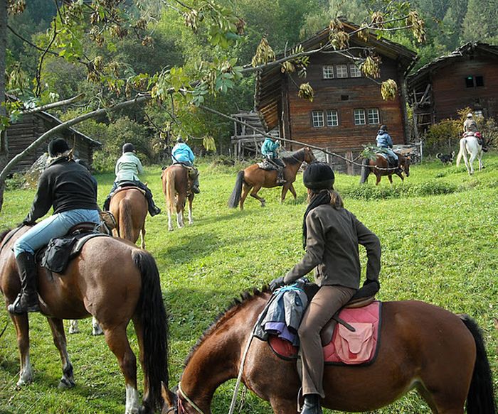 Reittouren in den Walliser Alpen