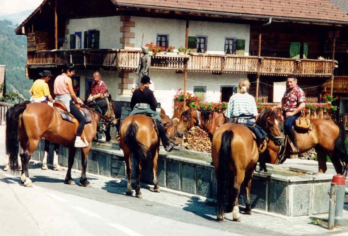 Reittouren in den Walliser Alpen