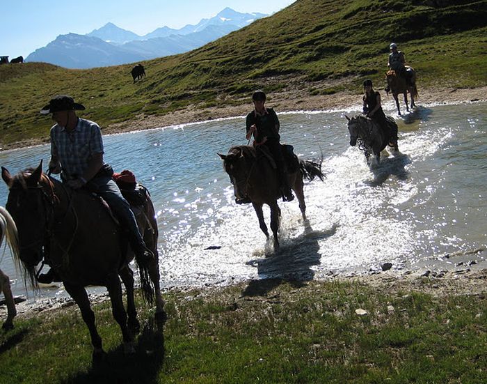 Reittouren in den Walliser Alpen