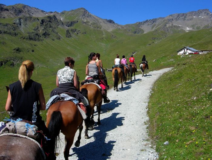 Reittouren in den Walliser Alpen