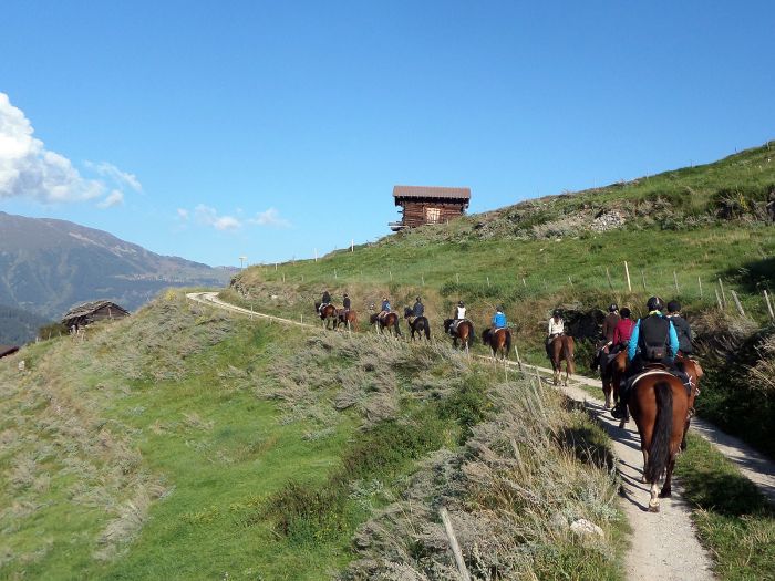 Reittouren in den Walliser Alpen