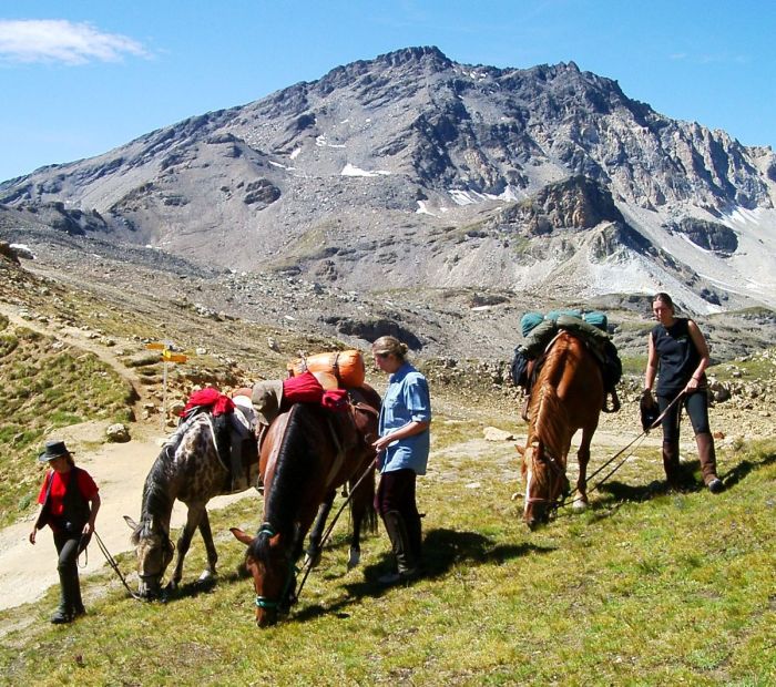 Reittouren in den Walliser Alpen