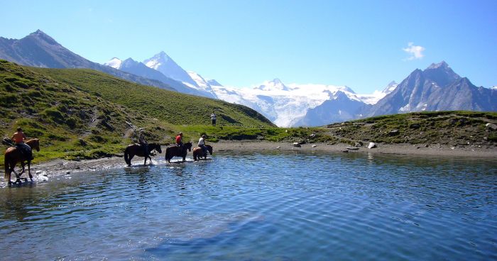 Reittouren in den Walliser Alpen