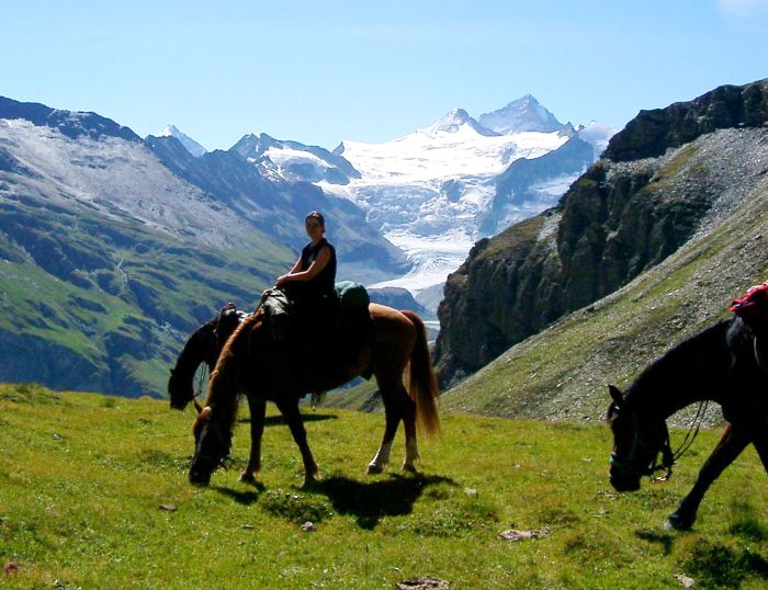 Reittouren in den Walliser Alpen