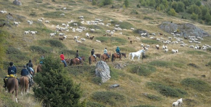 Reittouren in den Walliser Alpen