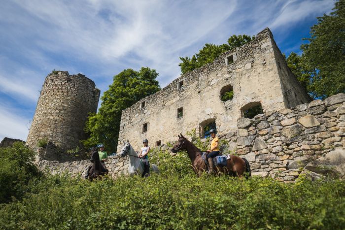 Wanderreiten im Mühlviertel