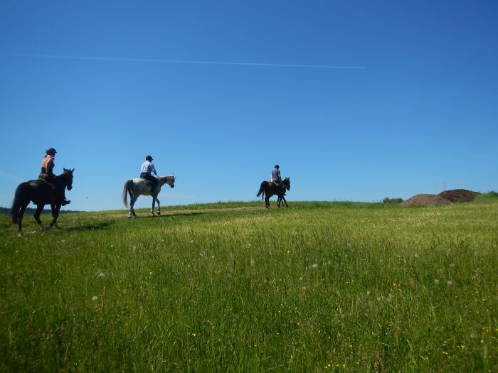 Wanderreiten im Mühlviertel