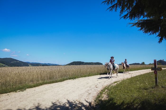 Wanderreiten im Mühlviertel