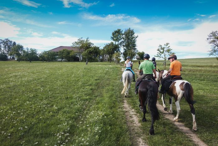 Wanderreiten im Mühlviertel