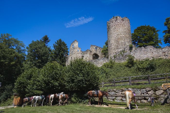 Wanderreiten im Mühlviertel