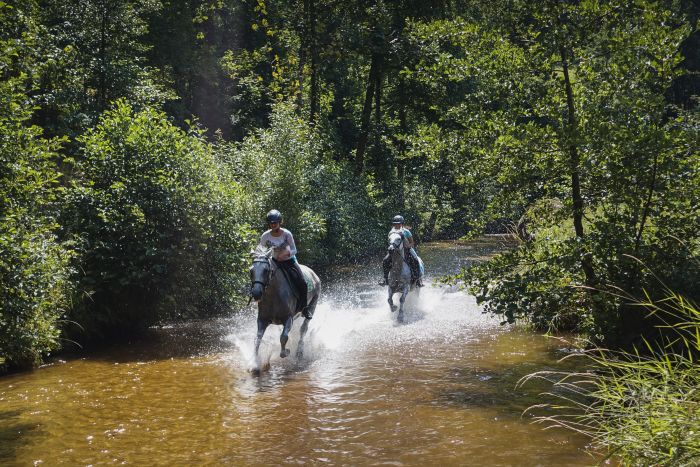 Wanderreiten im Mühlviertel