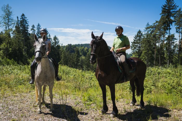 Wanderreiten im Mühlviertel