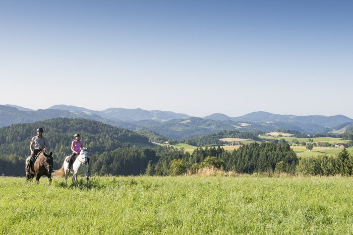 Wanderreiten im Mühlviertel