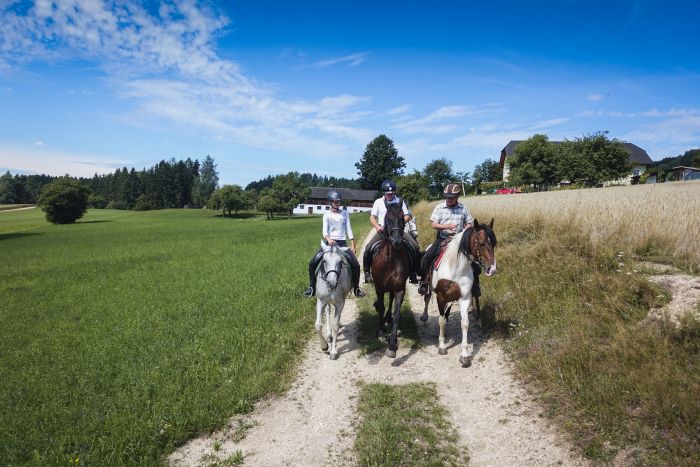 Wanderreiten im Mühlviertel