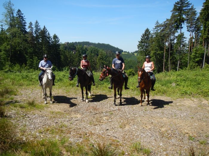 Wanderreiten im Mühlviertel