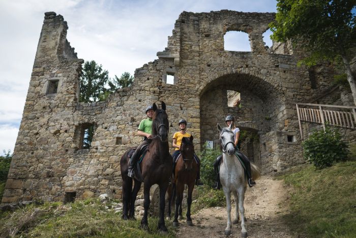 Wanderreiten im Mühlviertel