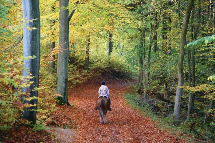 Mühlviertler Alm-Ritte