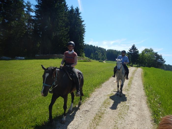 Mühlviertler Alm-Ritte