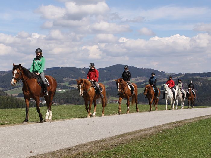 Mühlviertler Alm-Ritte