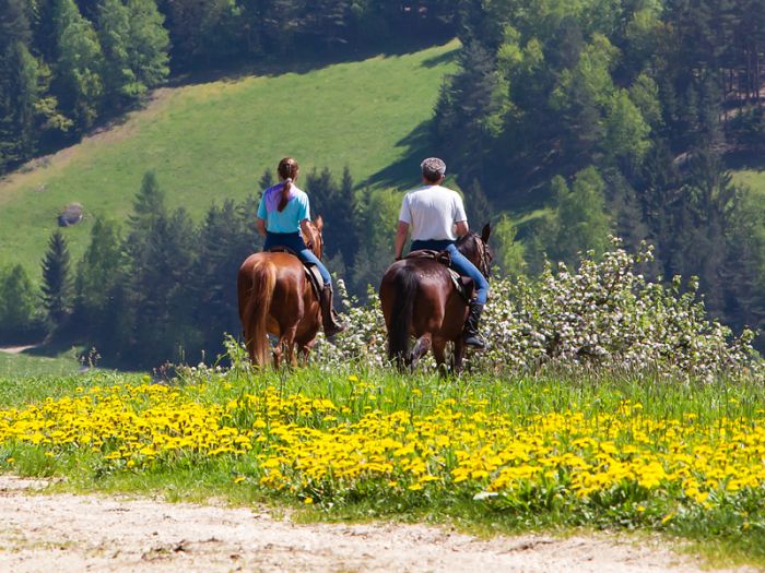 Mühlviertler Alm-Ritte