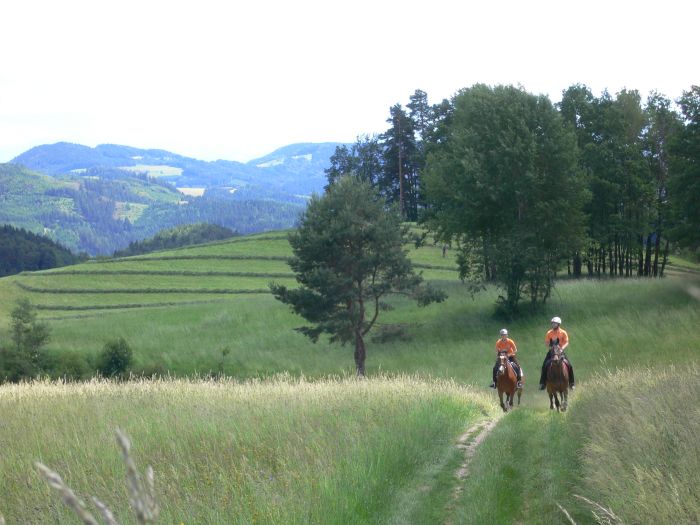 Mühlviertler Alm-Ritte