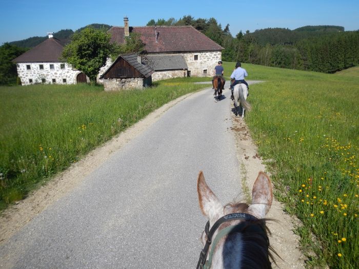 Mühlviertler Alm-Ritte