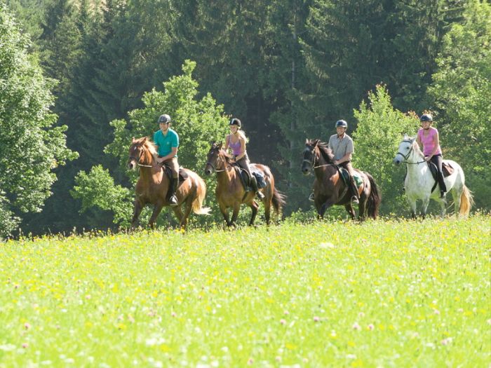 Mühlviertler Alm-Ritte