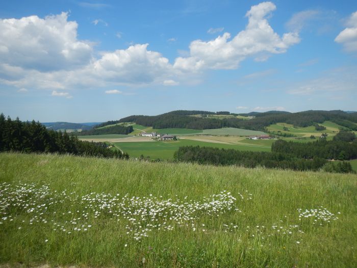 Mühlviertler Alm-Ritte