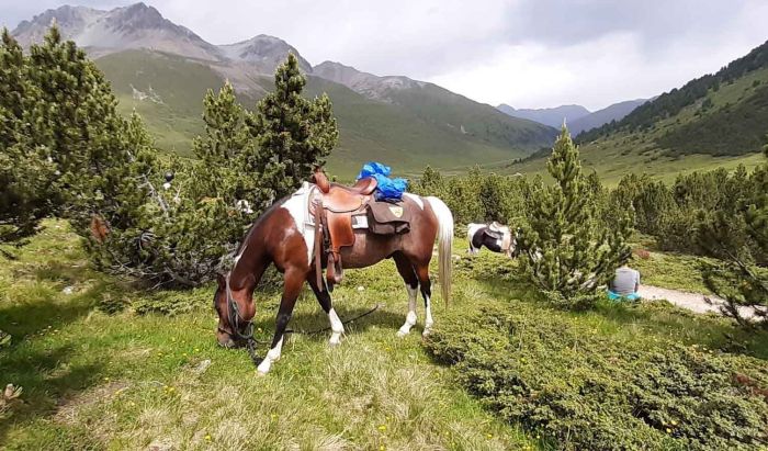 Reiturlaub im M&uuml;nstertal Graub&uuml;nden