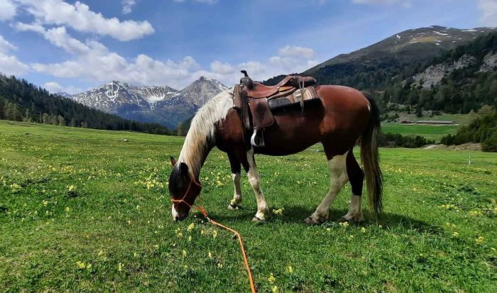 Reiturlaub im M&uuml;nstertal Graub&uuml;nden