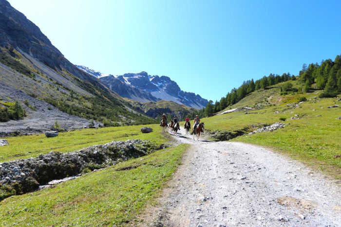 Reiturlaub im M&uuml;nstertal Graub&uuml;nden