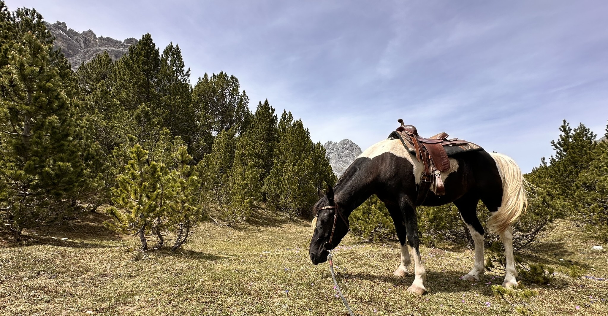 Reiturlaub im Münstertal