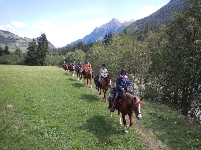 Panorama Trails durch die Alpen