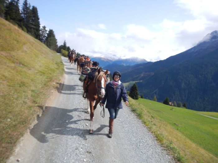 Panorama Trails durch die Alpen