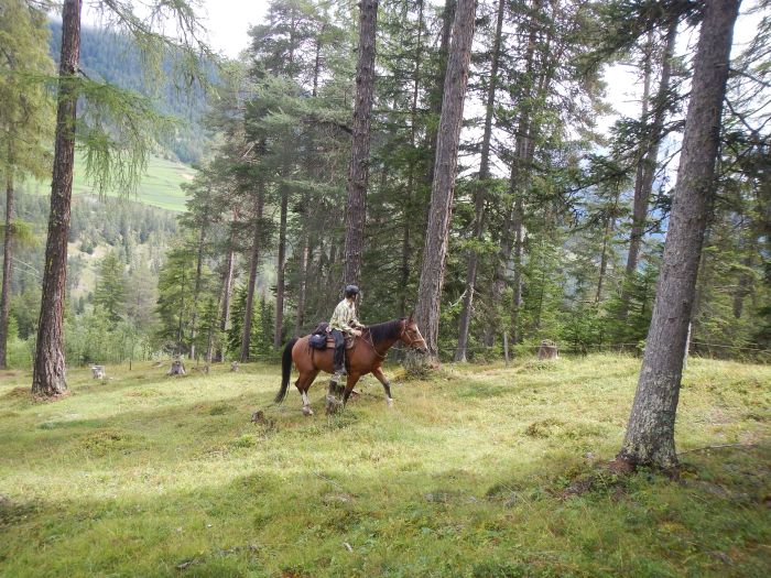 Panorama Trails durch die Alpen