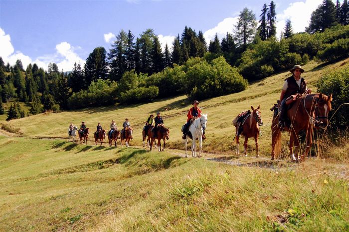 Panorama Trails durch die Alpen