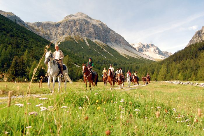 Panorama Trails durch die Alpen