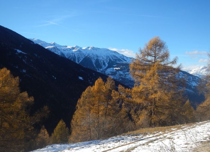 Panorama Trails durch die Alpen