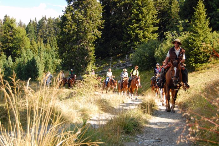 Panorama Trails durch die Alpen