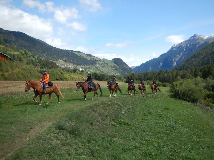 Panorama Trails durch die Alpen