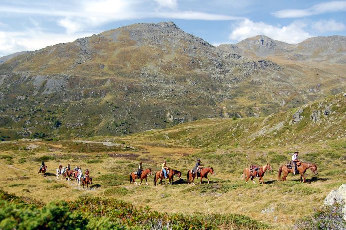 Panorama Trails durch die Alpen