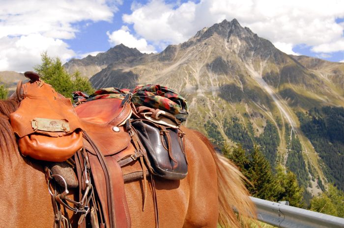 Panorama Trails durch die Alpen